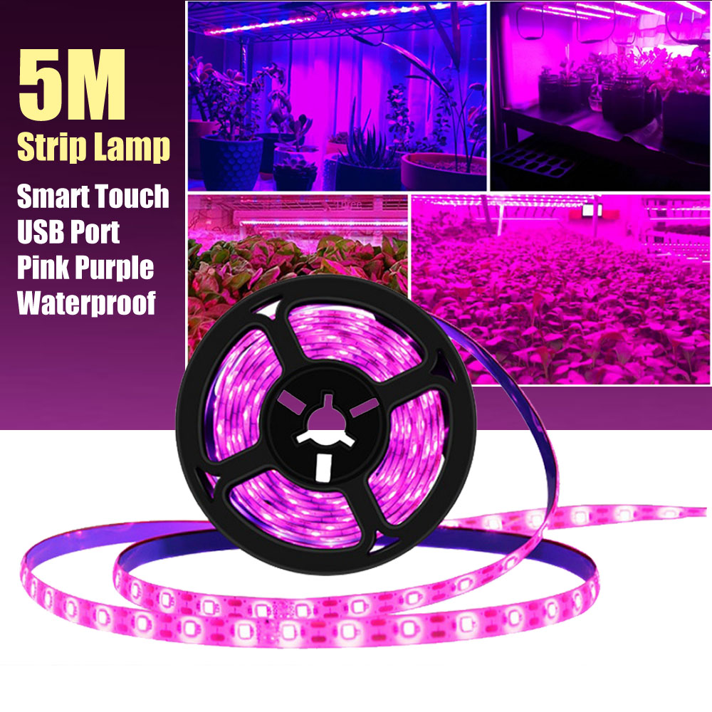 Led Plant Light Strip - 5 متر LED تنمو شرائط مصباح
