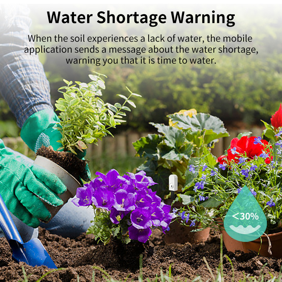 جهاز استشعار ذكي لرطوبة التربة - مراجعة Smart Garden Products وسعره