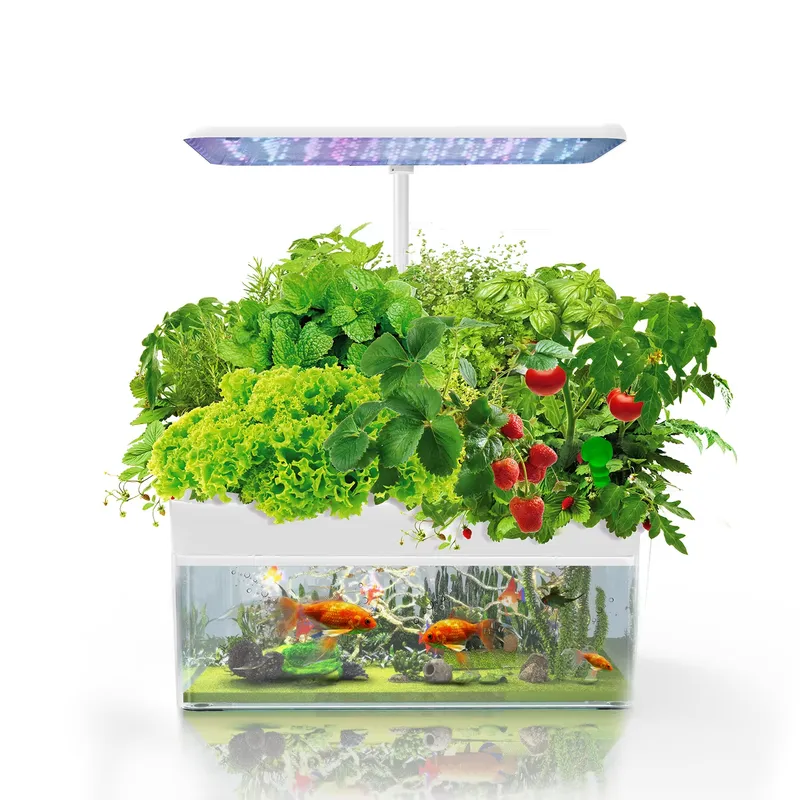 نظام IGS-70 للزراعة المائية ال - مراجعة Smart Garden Light وسعره