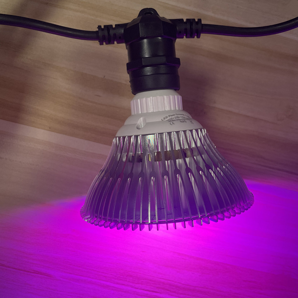 سلسلة إضاءة LED بطول 10 أمتار، - مراجعة Smart Garden Light وسعره