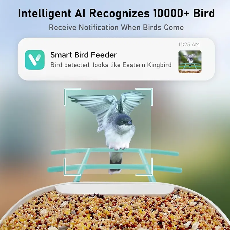 كاميرا ذكية لتغذية الطيور مع ت - مراجعة Smart Garden Ai وسعره