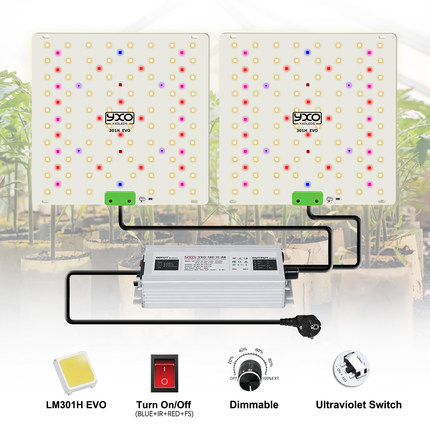 85 واط 180 واط LM301H EVO الكم - مراجعة Led Plant Light Strip وسعره