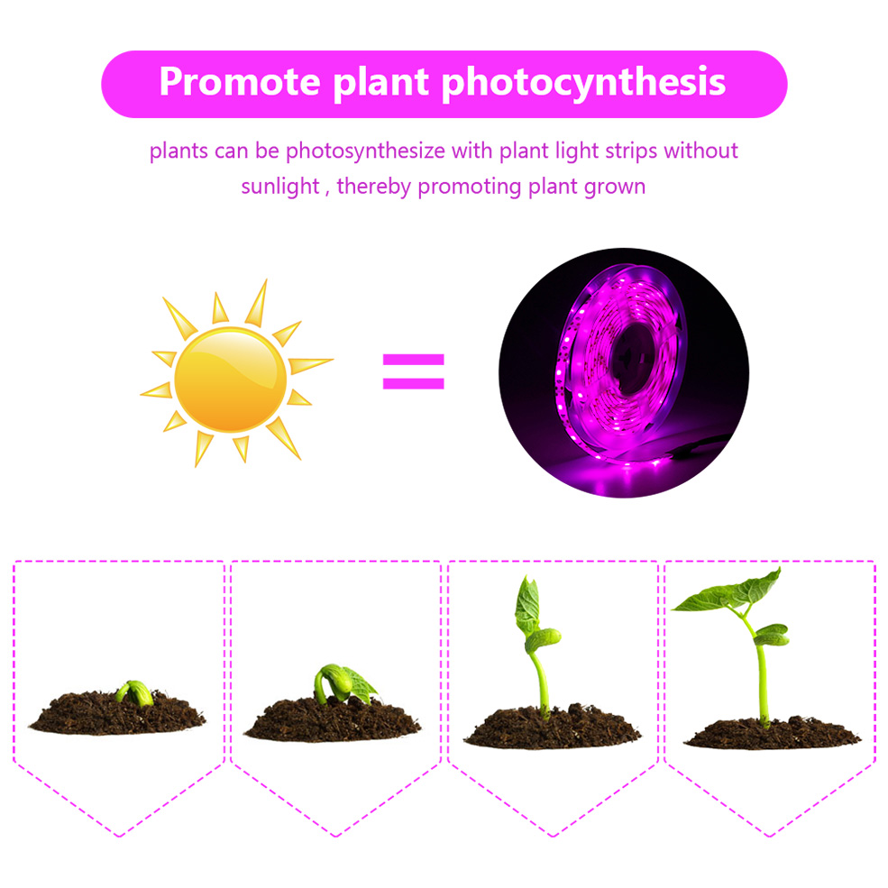 USB الطيف الكامل LED تنمو شرائ - مراجعة Led Plant Light Strip وسعره