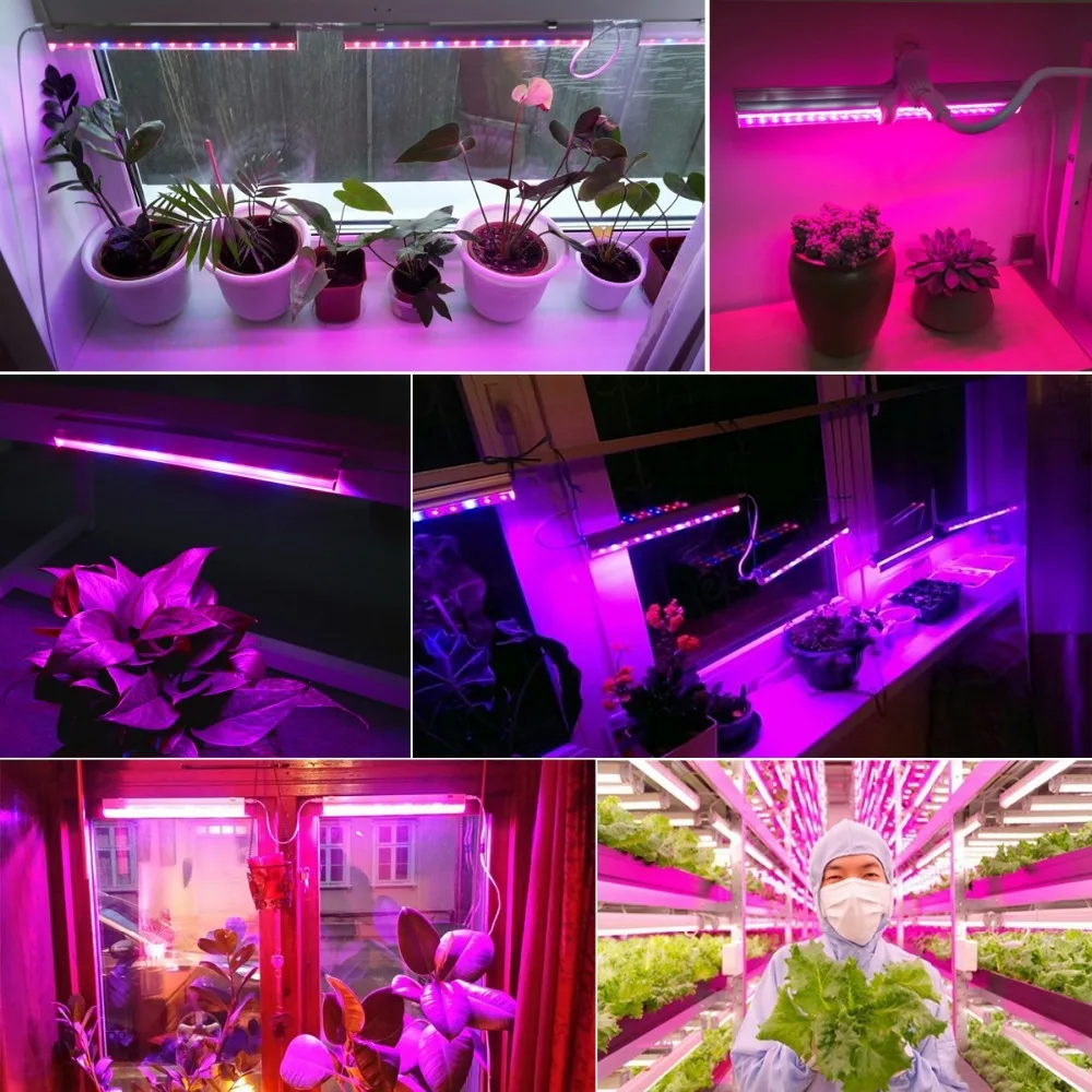 شرائط إضاءة LED لنمو النباتات  - مراجعة Led Plant Light Strip وسعره