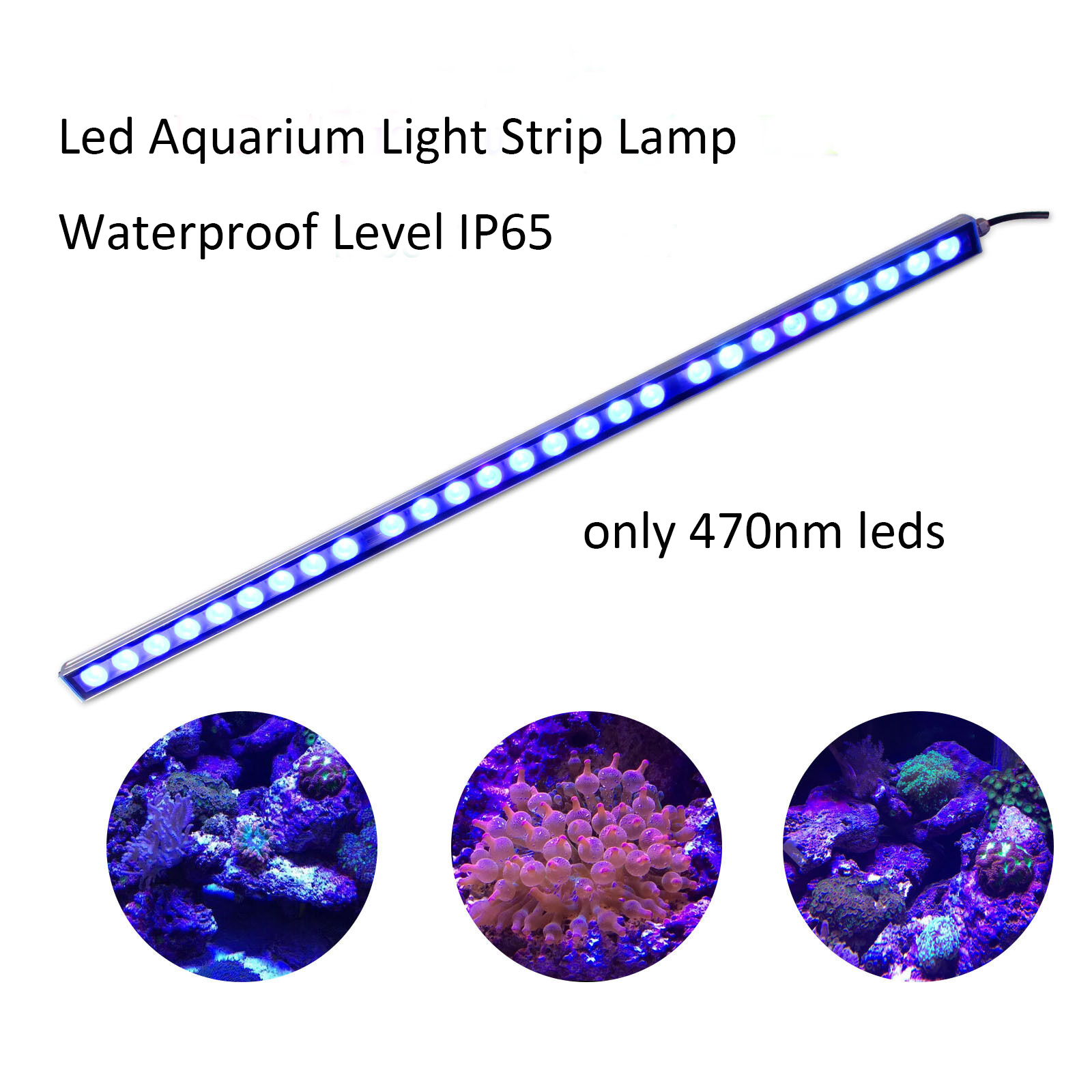 54 واط 81 واط 108 واط LED مصبا - مراجعة Led Plant Light Strip وسعره