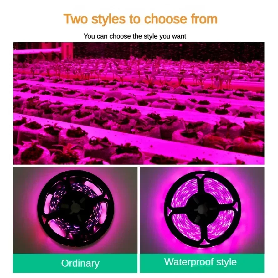USB اللمس التبديل عكس الضوء 5  - مراجعة Led Plant Light Strip وسعره