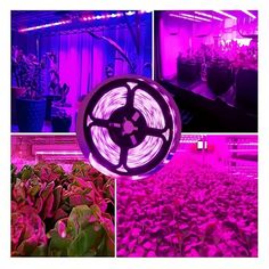 1 متر/2 متر/3 متر/5 متر/10 متر - مراجعة Led Plant Light Strip وسعره