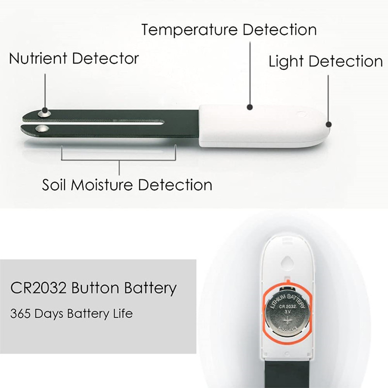 كاشف البستنة HHCC لـ شاومي ميل - مراجعة Smart Garden Products وسعره