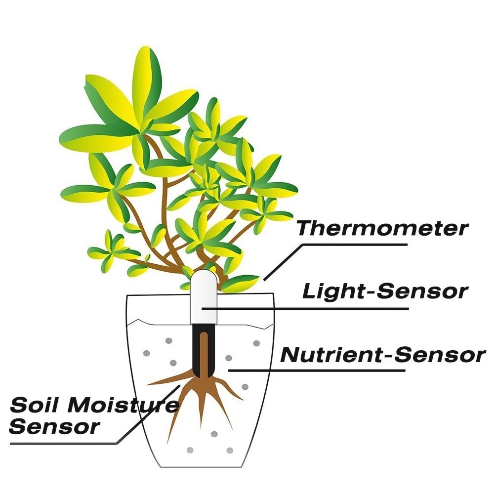 كاشف البستنة HHCC لـ شاومي ميل - مراجعة Smart Garden Products وسعره